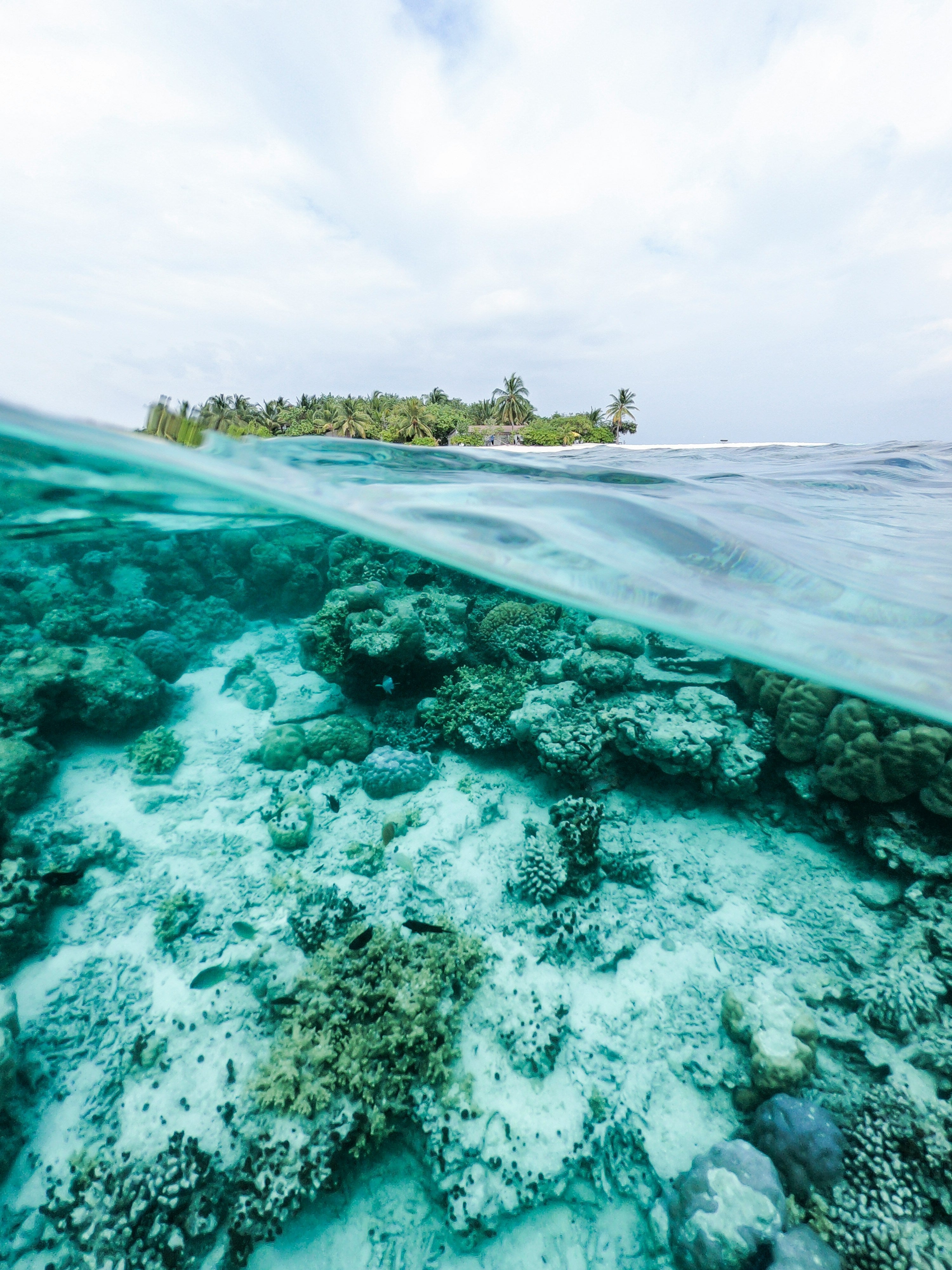 Eco-Friendly Boat Cleaning: What Actually Matters (And What’s Just Hype)